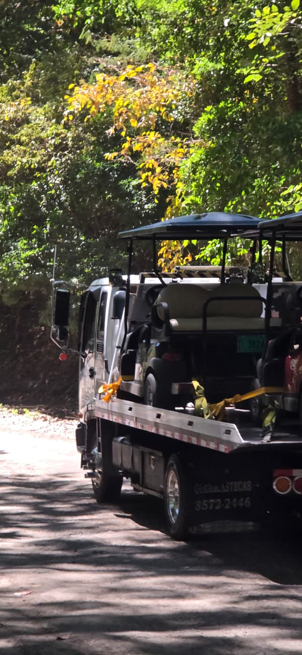 Plataforma transportando carros de golf